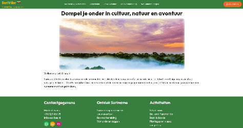 Strategisch advies en implementeren Wordpress template voor surivibe.nl